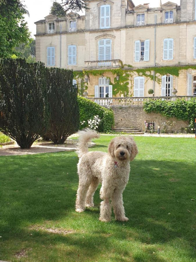 Chateau De Varenne Sauveterre  Kültér fotó